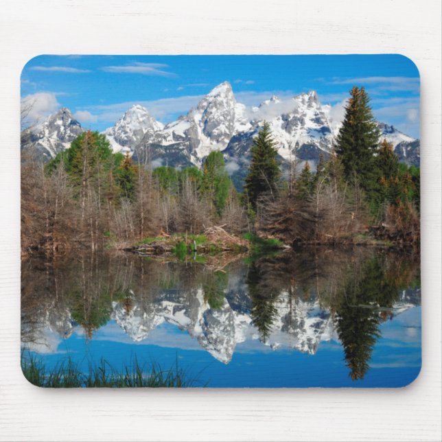 Schwabacher's Landing, Grand Teton Musmatta (Framsidan)