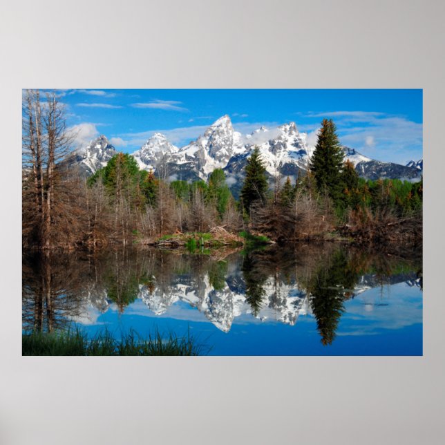 Schwabacher's Landing, Grand Teton Poster (Framsidan)