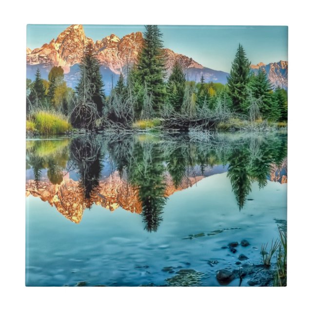 Schwabachers landning och bäverdamm kakelplatta (Framsidan)