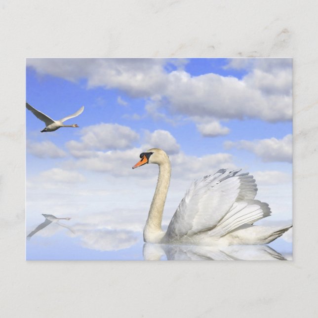 Schwanensee Vykort (Framsida)