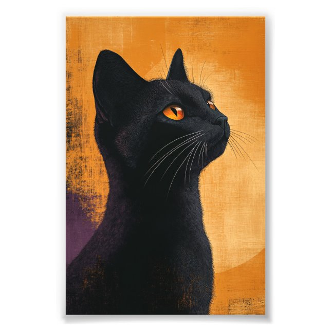 Schwarze Katze- Portrait Fototryck (Framsidan)
