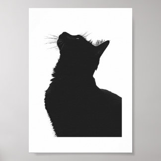Schwarze Katze Poster
