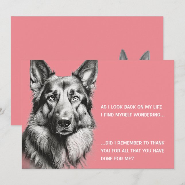 Schwarzen Schäferhund Vit Tack Kort (Fram/baksida)