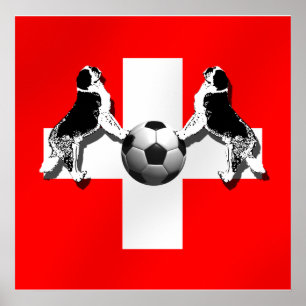 Schweitz fotboll - Brasilien Nati vm 2014 Poster