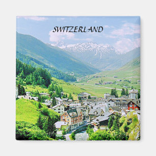 SCHWEITZ MAGNET