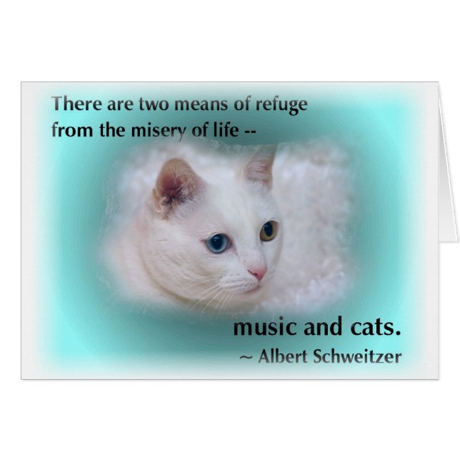 Schweitzers katt hälsningskort (Framsidan Horizontal)