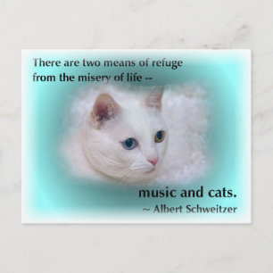 Schweitzers katt vykort