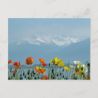 Schweiz-16800 Vykort