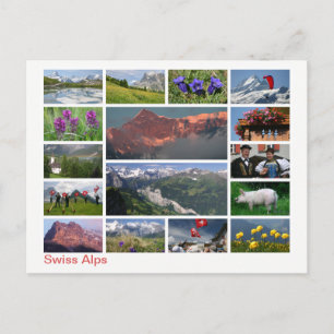 Schweiz-Alpernor med flera bilder Vykort