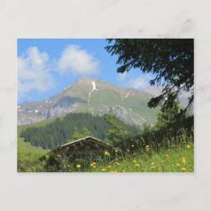Schweiz bergen vykort