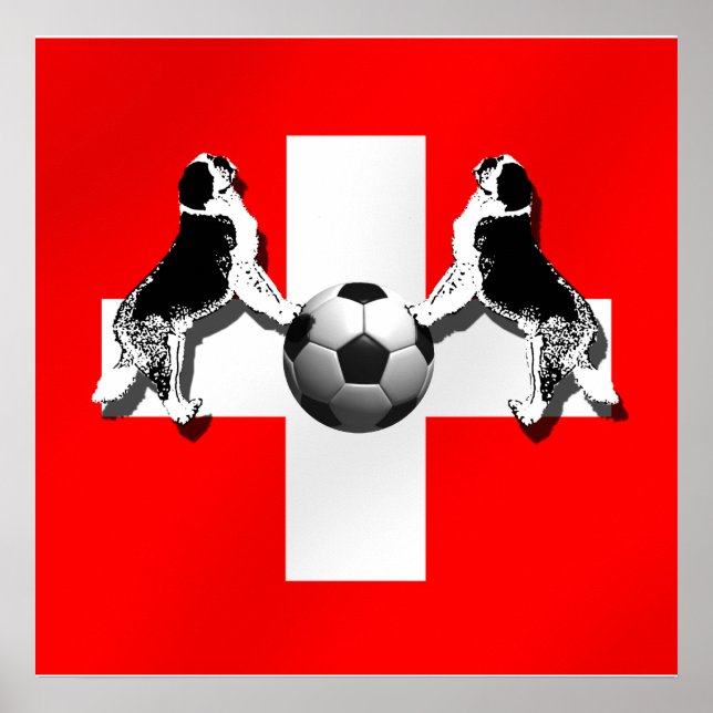 Schweiz - Brasilien 2014 Nati Vm Poster (Framsidan)