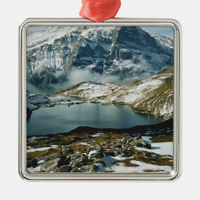 Schweiz, Grindelwald, Bernalperna, Utsikt Julgransprydnad Metall (Framsidan)
