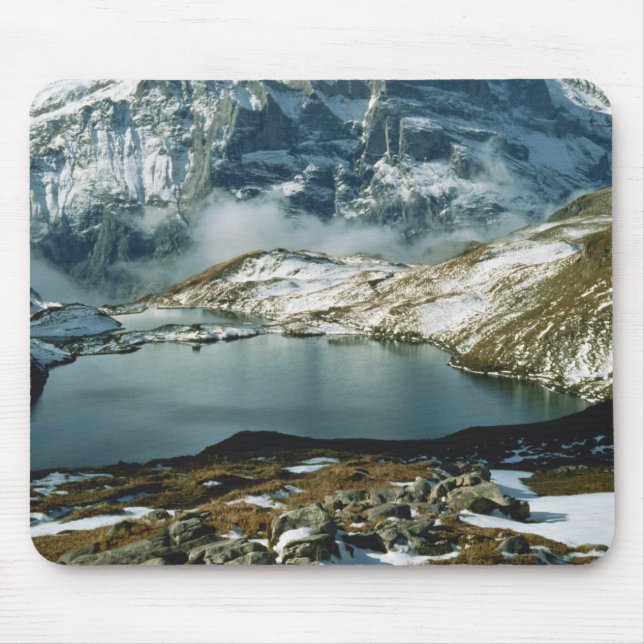 Schweiz, Grindelwald, Bernalperna, Utsikt Musmatta (Framsidan)