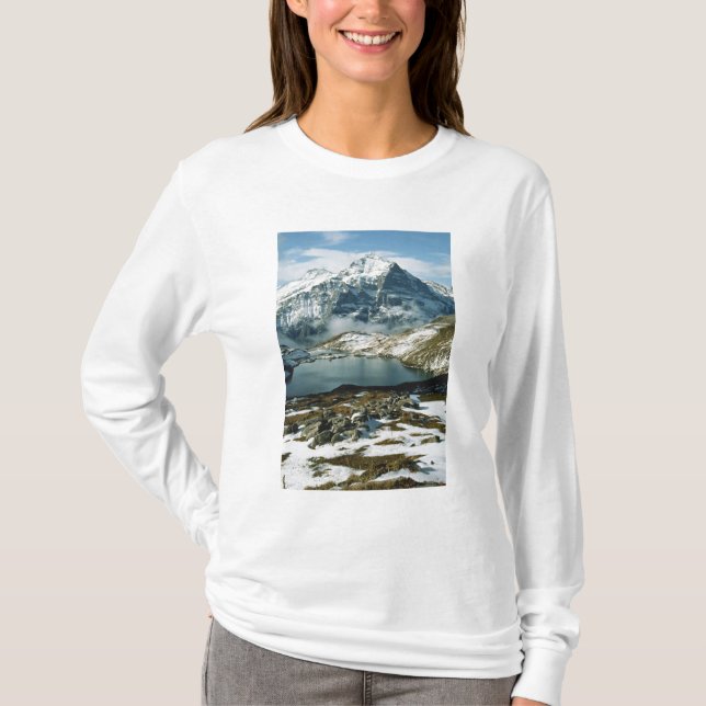Schweiz, Grindelwald, Bernalperna, Utsikt Tee (Framsida)