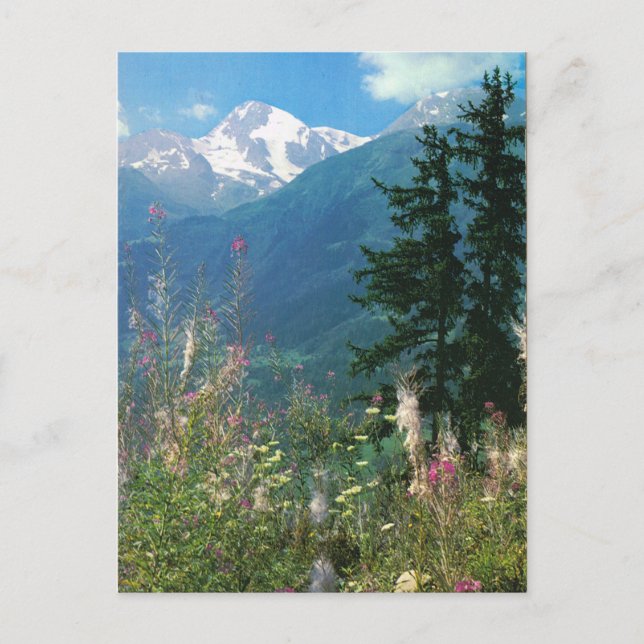 Schweiz, Jungfrau-regionen under våren Vykort (Framsida)