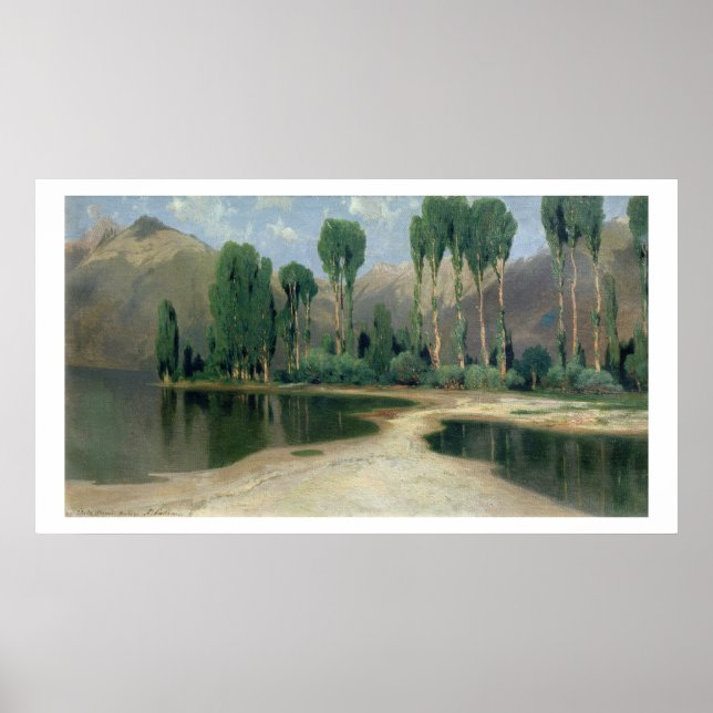 Schweiz liggande poster (Framsidan)