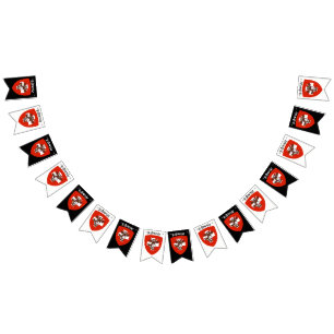 Schweiz Party Bunting Banner Vimplar