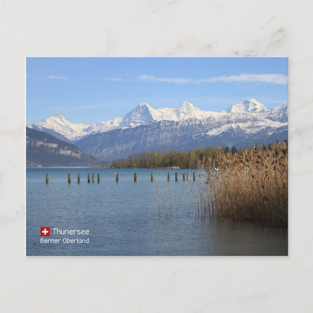 Schweiz skönhet vykort (Framsida)