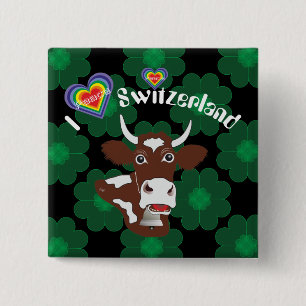 Schweiz Suisse Svizzera Svizra Schweiz Knapp
