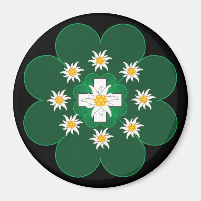 Schweiz Suisse Svizzera Svizra Schweiz Magnet (Framsidan)