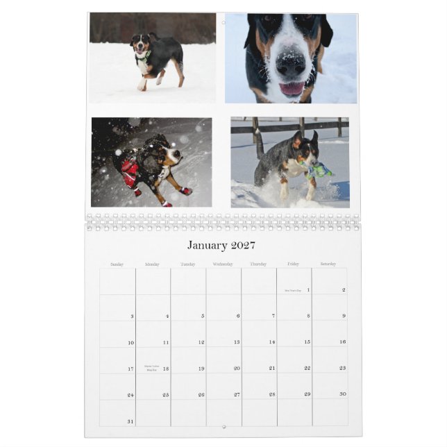 SchweizareaningSwissies (och vänner) kalender 2011 (Jan 2027)