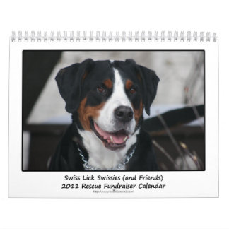 SchweizareaningSwissies (och vänner) kalender 2011