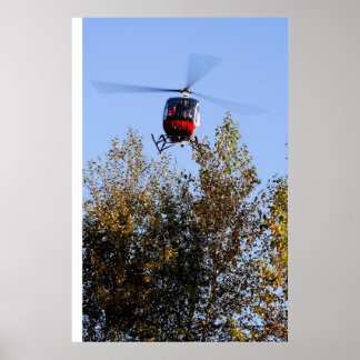 Schweizer kommer in på land poster