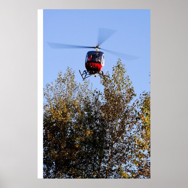 Schweizer kommer in på land poster (Framsidan)