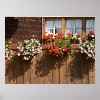 Schweizisk blomsterlåda poster