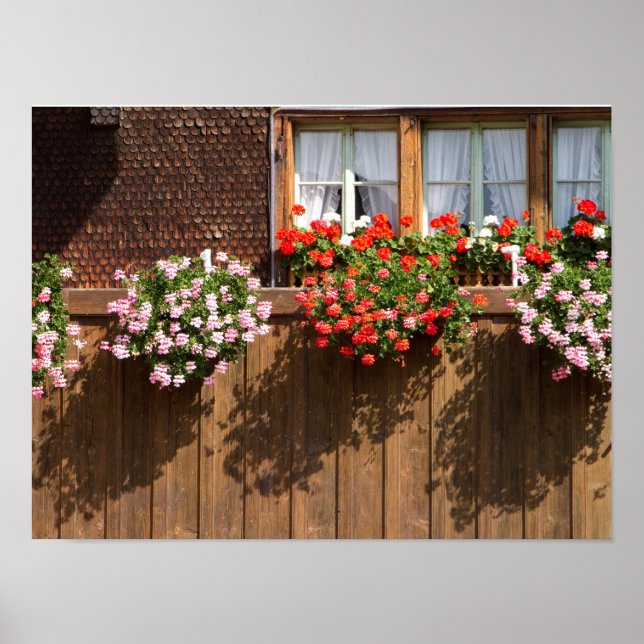 Schweizisk blomsterlåda poster (Framsidan)