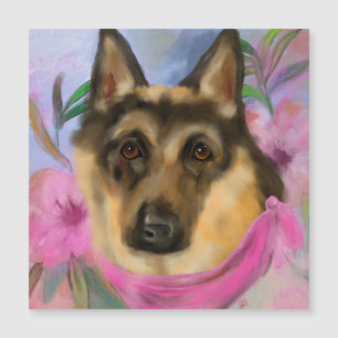 SCHWEIZISK SCHÄFERHUND
