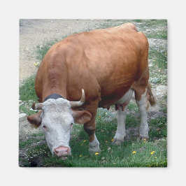 Schweiziska Alpernor Magnet