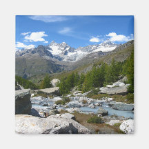 Schweiziska Alpernor