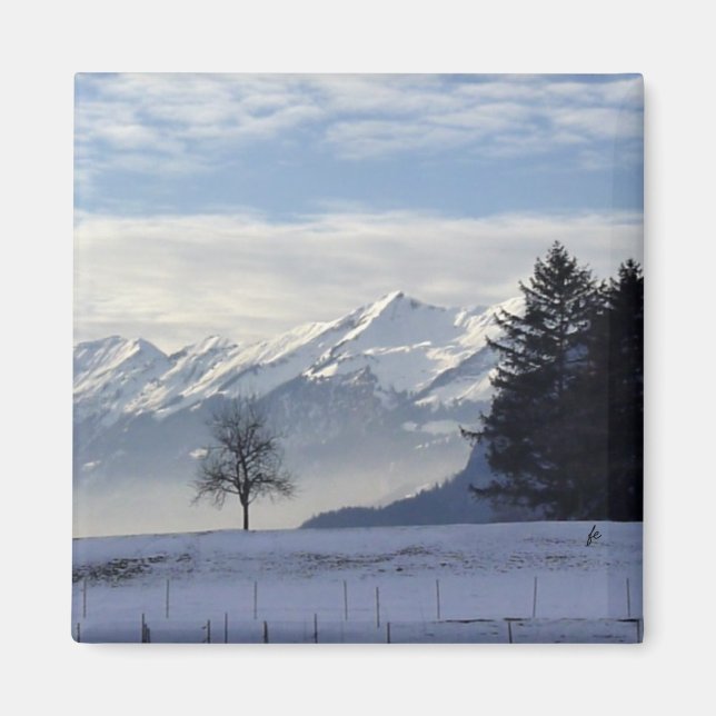 Schweiziska alpernor magnet (Framsidan)