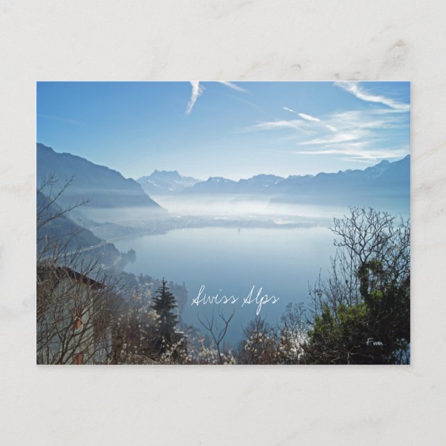 Schweiziska Alpernor Vykort (Framsida)