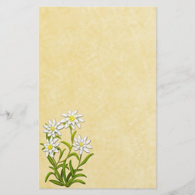 Schweiziska Edelweiss blommar brevpapper (Framsida)