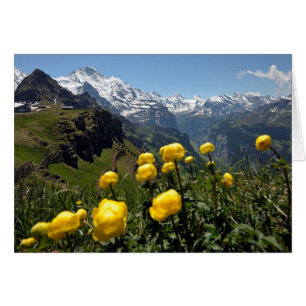 Schweiziska hälsningkort, Grindelwald, gula Hälsningskort