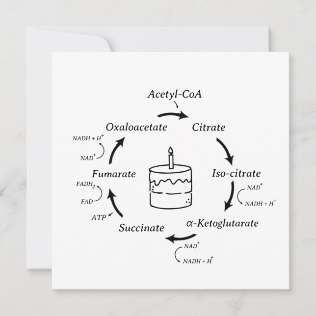 Science Birthday Kreb's Cycle Biology Cake Teacher (Framsida)