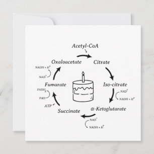 Science Birthday Kreb's Cycle Biology Cake Teacher