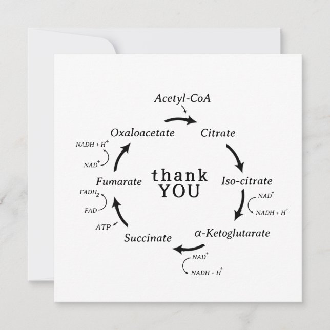 Science Tack Teacher Kreb's Cycle Biology (Framsida)