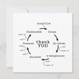 Science Tack Teacher Kreb's Cycle Biology