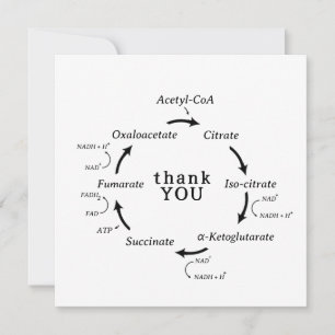 Science Tack Teacher Kreb's Cycle Biology