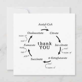 Science Tack Teacher Kreb's Cycle Biology