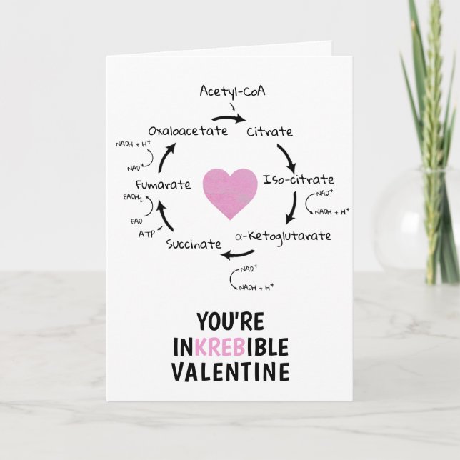 Science Valentine Krebs cycle Biology Heart Geek Helgkort (Framsida)