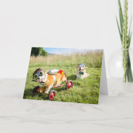 Scientist Corgis på ett blankprov Backe hälsning Kort