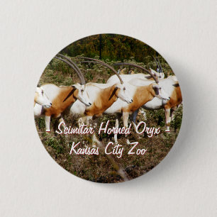 Scimitar Horned Oryx Button Knapp