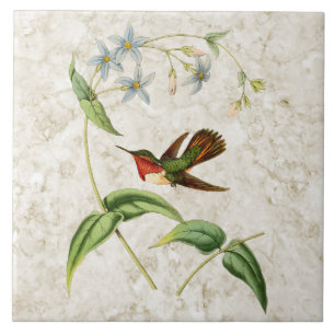 Scintillant Hummingbird Ceramic Tile Kakelplatta