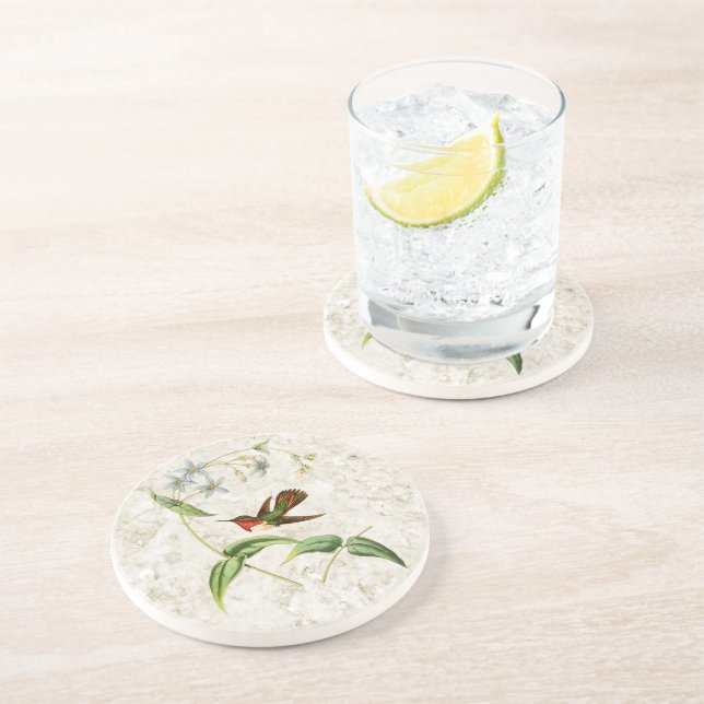 Scintillant Hummingbirdsandstenkustfartyg Underlägg Sandsten (Sidan)