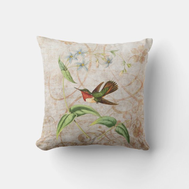 Scintillant HummingbirdvintageGrunge Utomhuskudde (Framsida)