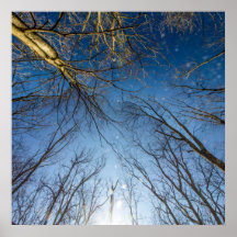 Scioto Grove Metro Park, Grove City, Ohio